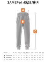 Штаны для мальчика на физкультуру с лампасами