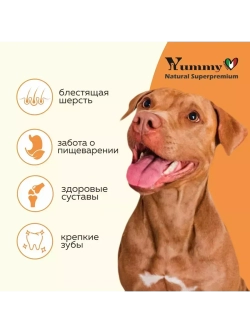 Корм для собак средних и крупных пород, индейка 2,5 кг