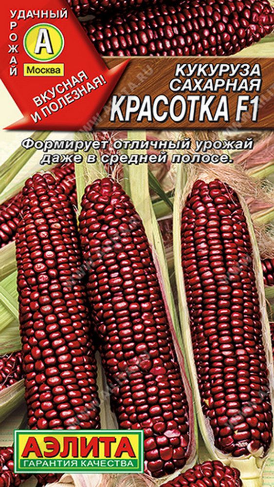 Кукуруза сахарная &quot;Красотка F1&quot; 5шт, Россия.