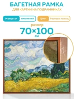 Металлическая багетная рамка 70х140 см
