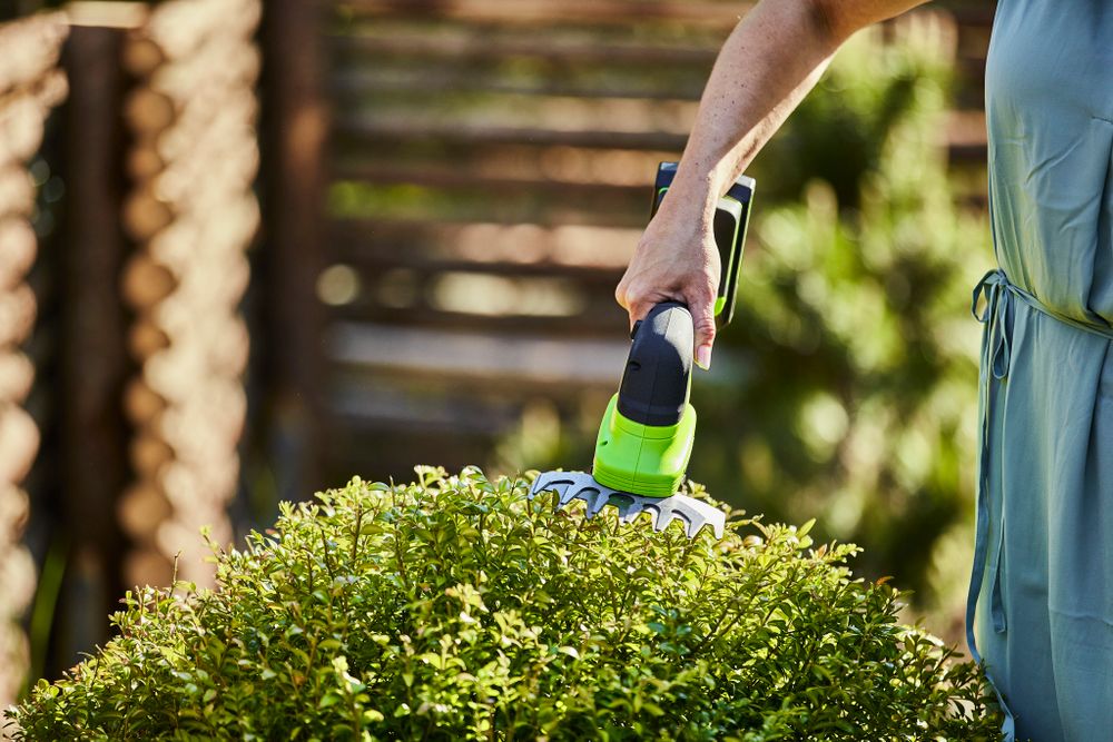 Аккумуляторные садовые ножницы-кусторез Greenworks G24SHT, 1600607,24v, без АКБ и ЗУ