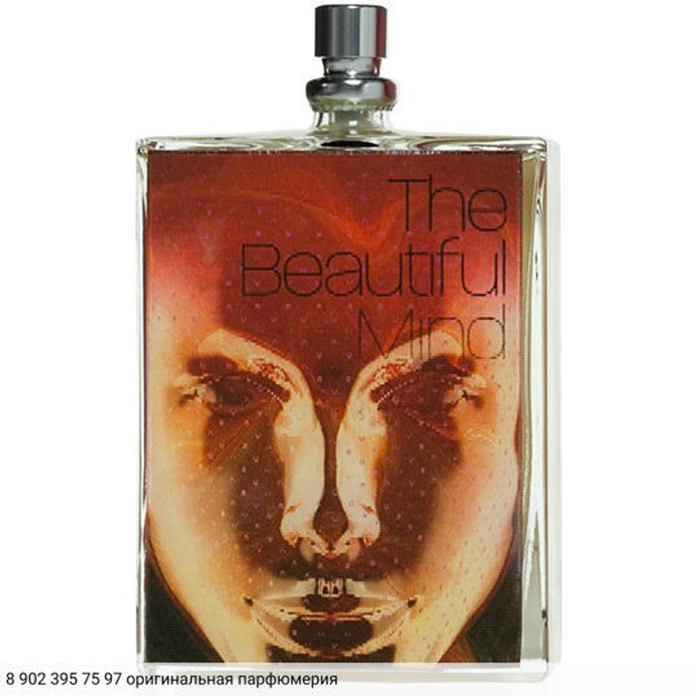 The Beautiful Mind Series Intelligence & Fantasy