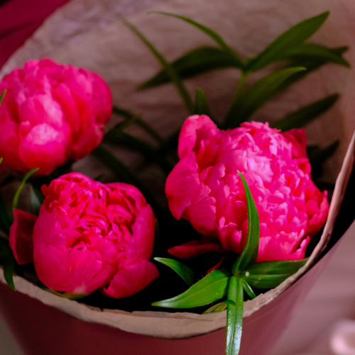 Купить Букет пионов #23
