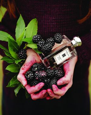 Jo Malone Blackberry and Bay