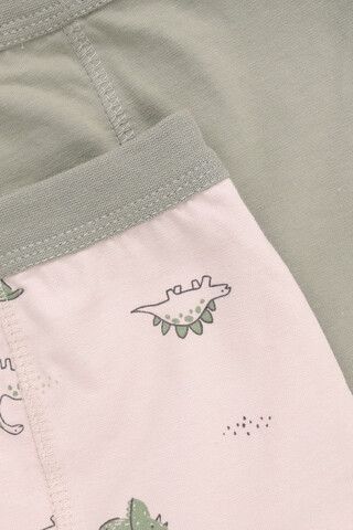 трусы/ уп  для мальчика  К 1980-2уп/оливковый хаки,бежевый,динозаврики