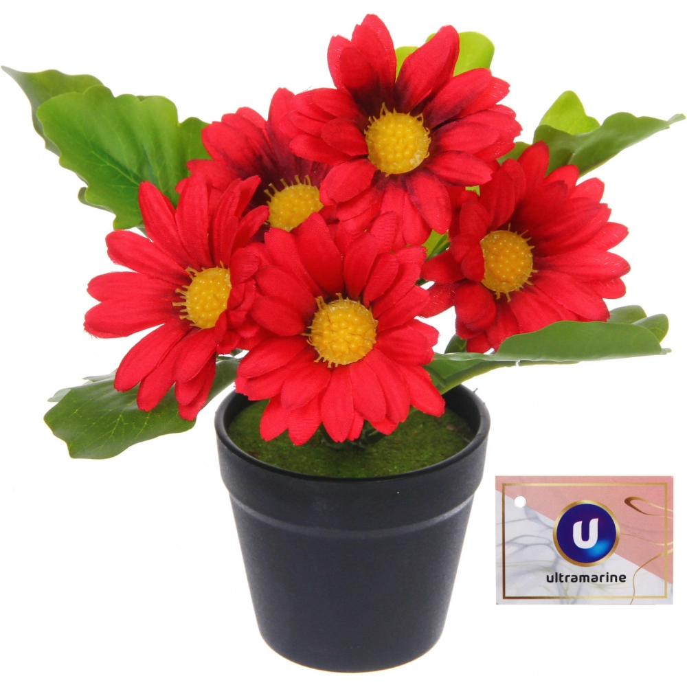 Цветочная композиция «Поцелуй лета» Хризантема красная 20см