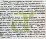 Рудбекия Мои друзья 0,2 г СМЦ-569