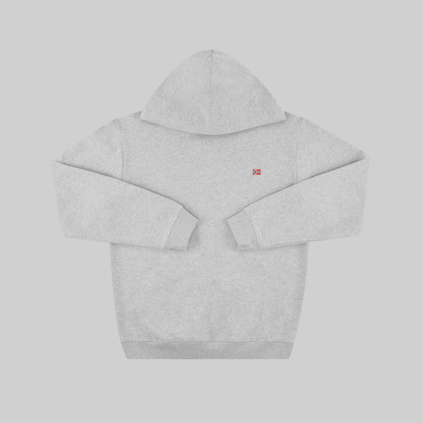 Толстовка мужская Napapijri Balis Hoodie артикул:NA4FQV160 - купить в магазине Дайс