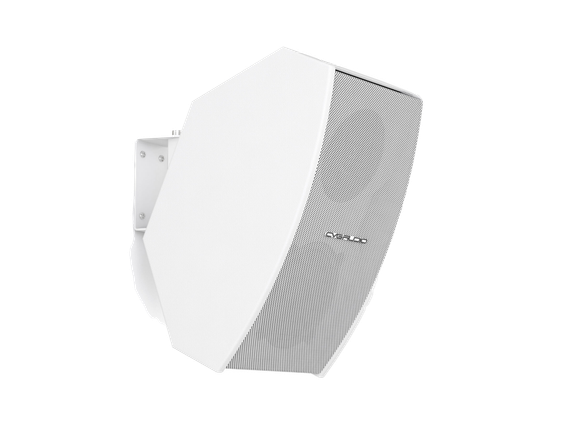 CVGAUDIO AXE5:8W нсталляционная акустическая система, мощность – 70W(AES)/140W(max)