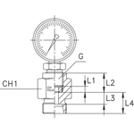 Штуцер DS06 BSP 1/2