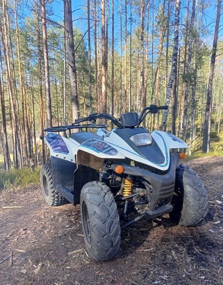 Квадроцикл BALTMOTORS Jam 100 Б/У