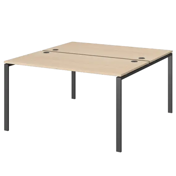 Бенч двойной на 2 рабочих места АМБ-004  1600x1496x760 Арго-М