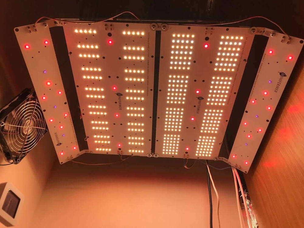 Booster Line 4.1 Osram GH CSSRM3.24 OSLON® Square Hyper 660nm + UV 385nm