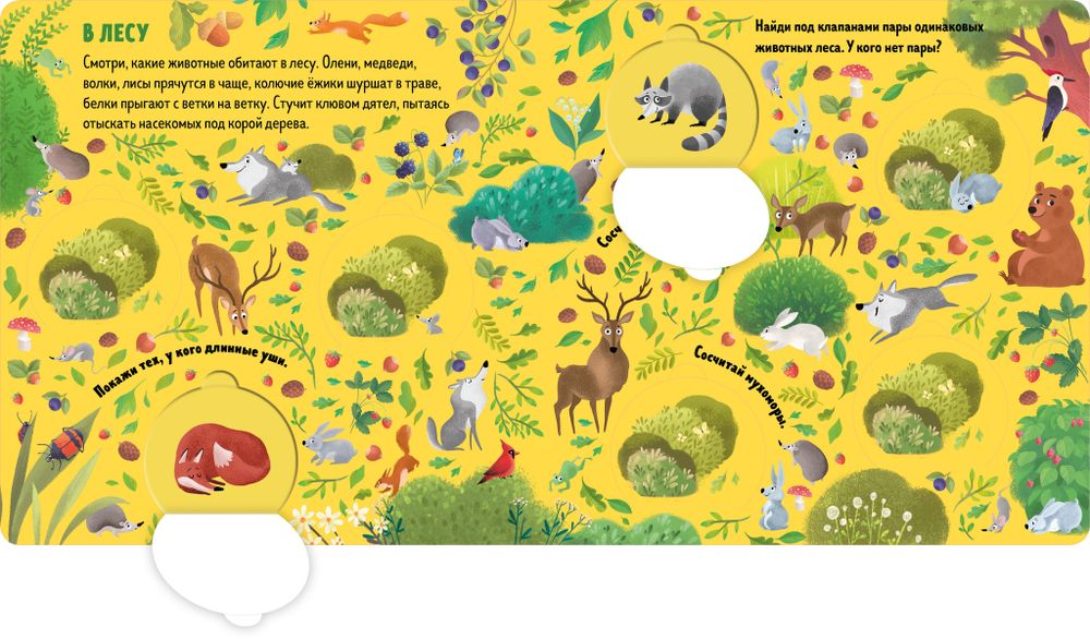 Книжки с клапанами. Животные: найди пары
