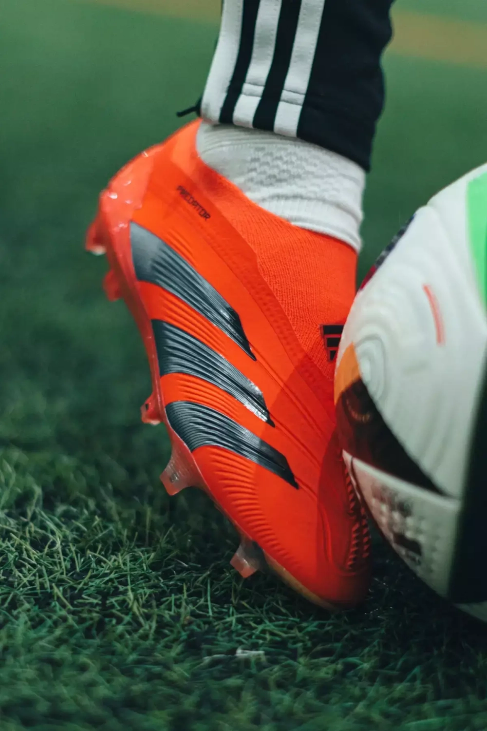 Бутсы adidas Predator Elite LL FG