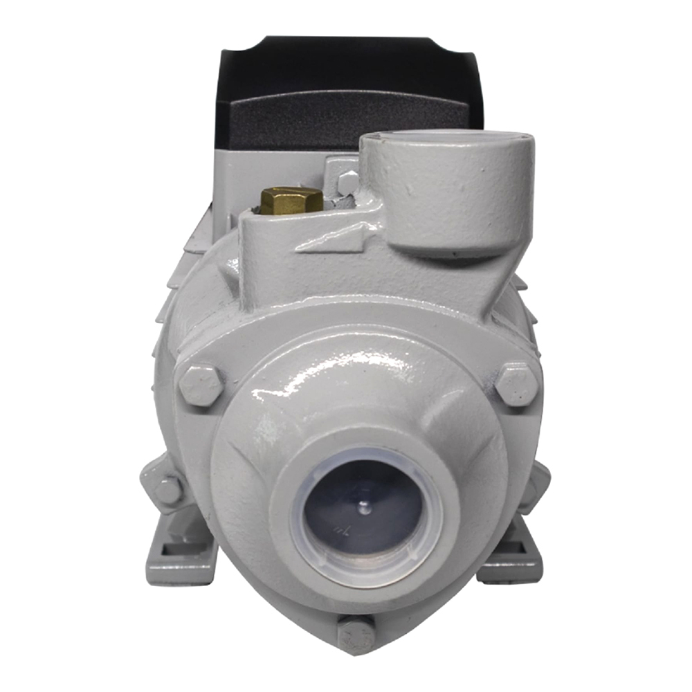 Насос поверхностный Ресанта ПСН-3300Ч