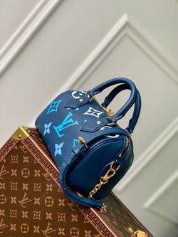 Louis Vuitton Speedy 20