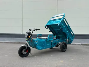 Грузовой электрический трицикл IKINGI CARGO C06 1500W (60V/45Ah) - Бирюзовый фото №13