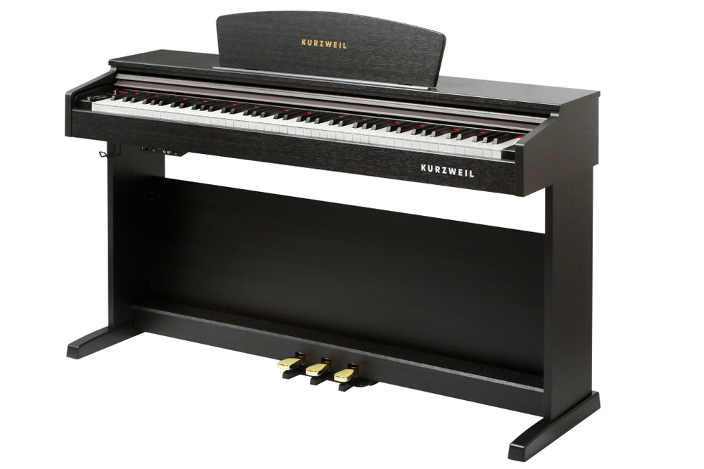 kurzweil_m90_b_(1).jpg