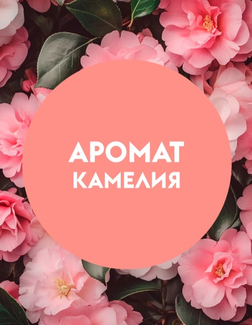 GraSS DUTYBOX Мыло жидкое эко-пенка для рук Камелия 500мл