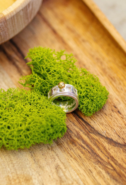 Кольцо-механизм "Серебряная луна" с позолотой