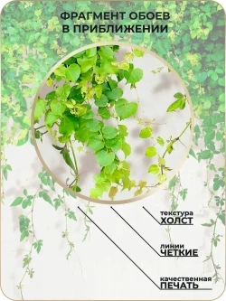 Фотообои Листья в зал, в спальню, в гостиную, на кухню 200х270