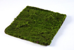 Мох Квадратный 30х30 см 6/24 30.0610017