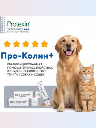 Пробиотик Protexin Pro-Kolin для собак и кошек паста для лечения диареи и нормализации пищеварения, 30 мл