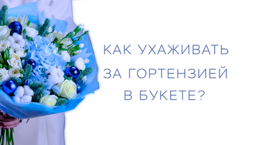 Как ухаживать за гортензией в букете?