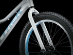 Детский велосипед Trek Precaliber 20 CST G S (2020)