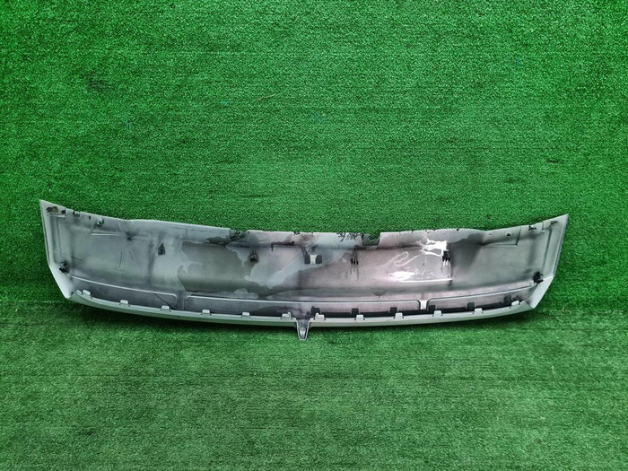 Накладка переднего бампера Hongqi E-HS9 (2020-нв)