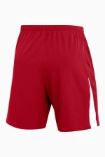 Шорты Nike Dri-FIT Venom 4