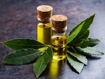 Эфирное масло Лавр. 10 мл.