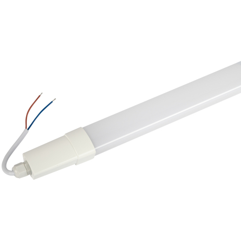 Линейный светодиодный светильник ЭРА SPP-301-18-6K-M 18Вт 6500К IP65 600