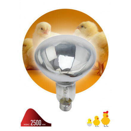 Инфракрасная лампа ЭРА ИКЗ 220-250 R127 кратность 1 шт Е27 / E27 для обогрева животных и освещения 250 Вт