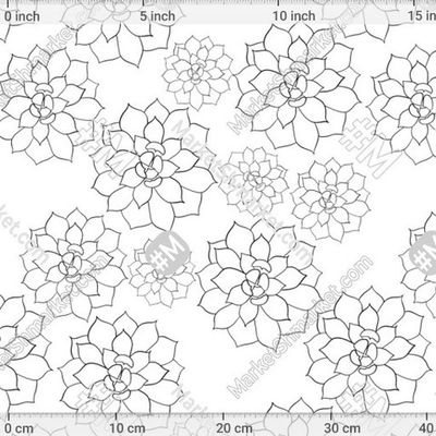 Суккуленты в черно-белых тонах by By May 219 DPI