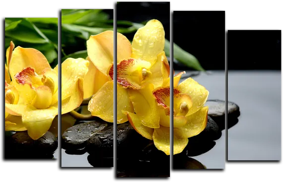 Модульная картина "Желтая орхидея"
