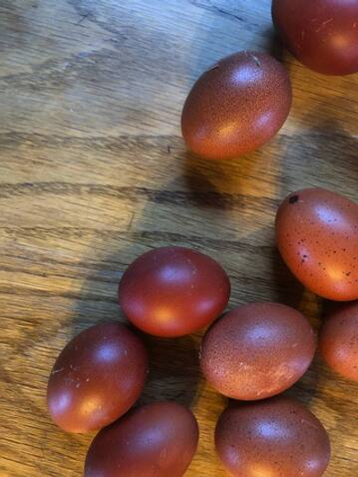 Яйцо куриное "пасхальное" Маран