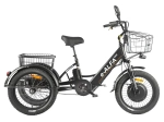 Электровелосипед GREEN CITY e-ALFA Trike (синий)