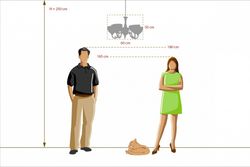 Подвесная люстра MW-Light Олимп 1 318011205