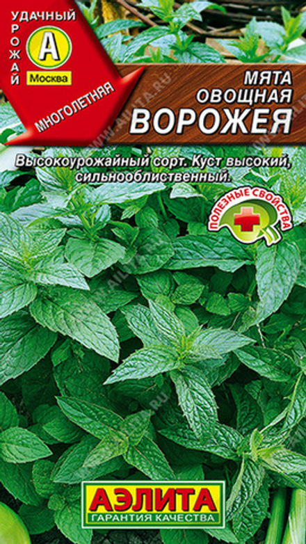 Mятa овощная "G. Ворожея" 0.04г., Россия.