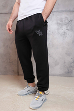 Брюки спортивные Rage Wrestling арт.: HY25691