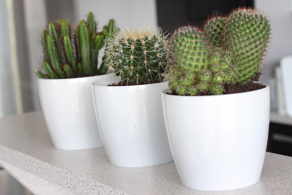 Кашпо Магнолия с поддоном фирма Ламела (Польша) диаметр 12 см