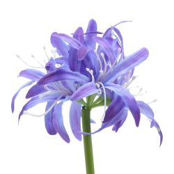 GAEM Цветы искусственные "Букет", L9 W9 H52 см