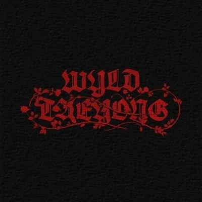 (ПРЕДЗАКАЗ) Альбом TAEYONG - WYLD 1st Album WYLD BOOK Version