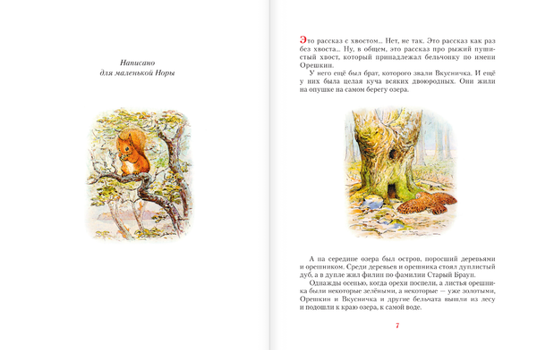 Зимняя книга кролика Питера