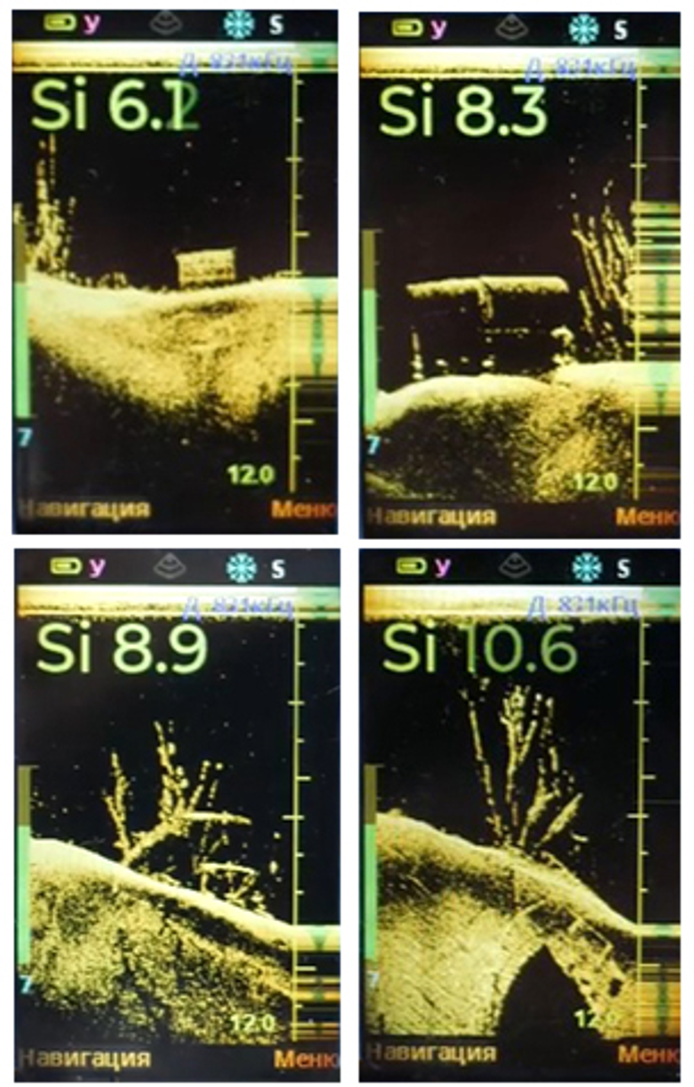Структурный датчик Эховизор
