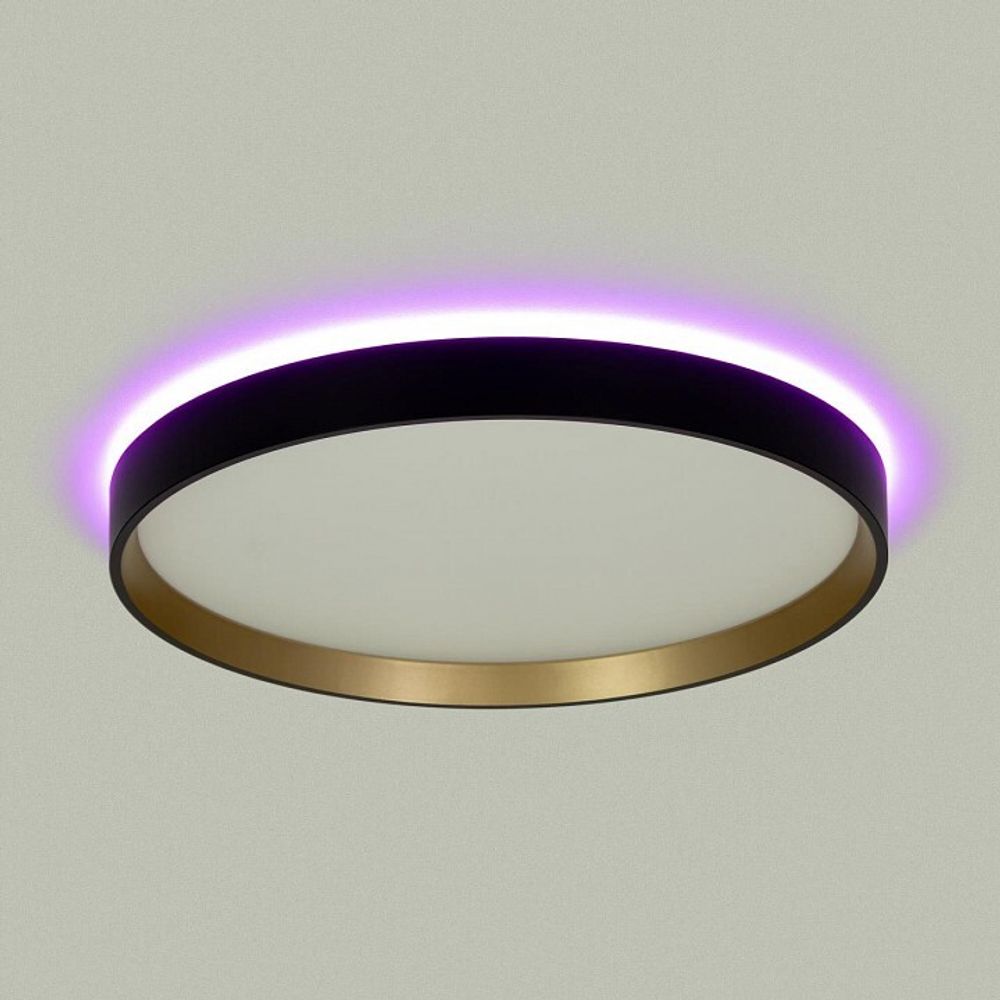 Накладной светильник Citilux ETALON CL750321R