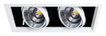 Встраиваемый светильник Arte Lamp Merga A8450PL-2WH