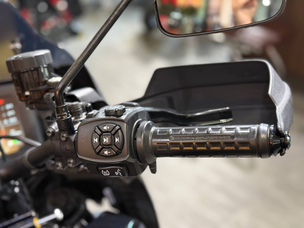 Harley-Davidson Pan-America SPECIAL 2021